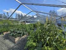 Tentnology Greenhouse (2)