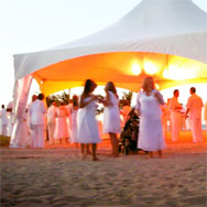 Portable shade structures